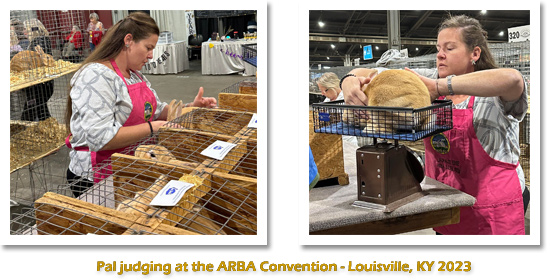 Judging Pals at the ARBA Convention in Loisville, KY 2023.