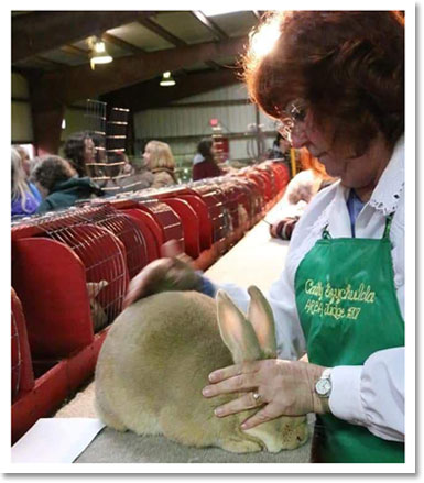 Cathy Szychulda judging at Pal Nationals in Cheyenne, WY