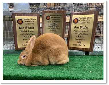 Youth Best of Breed owned by Luke Halloran