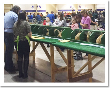 Youth Judging - Pal Natls 2019, Alexandria, LA (Mike Frankes judging)