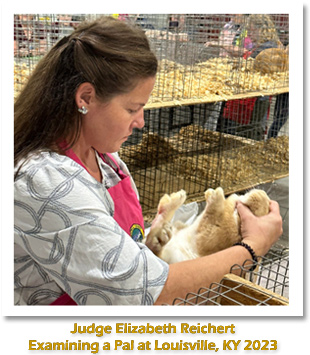 Judge Elizabeth Reichert examining a Pal at the Louisville, KY Convention 2023
